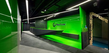 乌克兰MacPaw软件开发公司办公空间设计